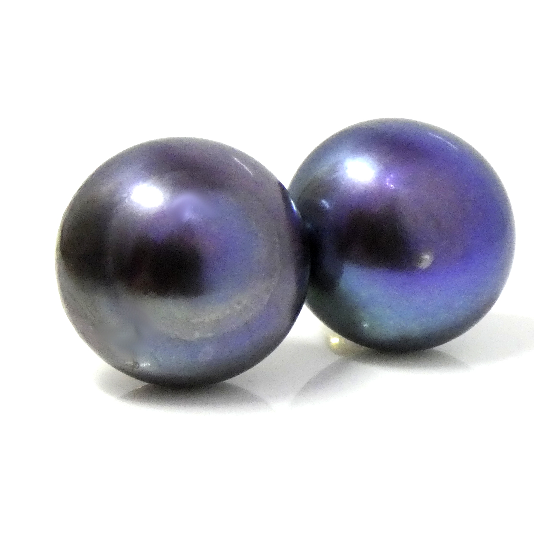 Blue/Black 14.7mm AAA Button Pearl Stud Earrings
